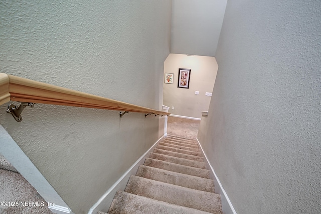 stairs with carpet flooring