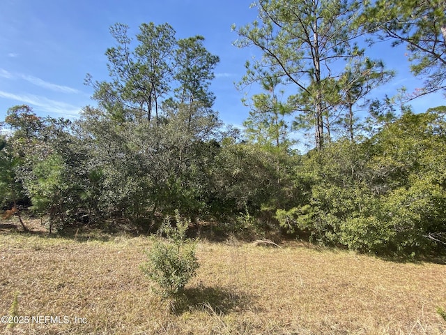 103 Dolphin Dr, Georgetown FL, 32139 land for sale