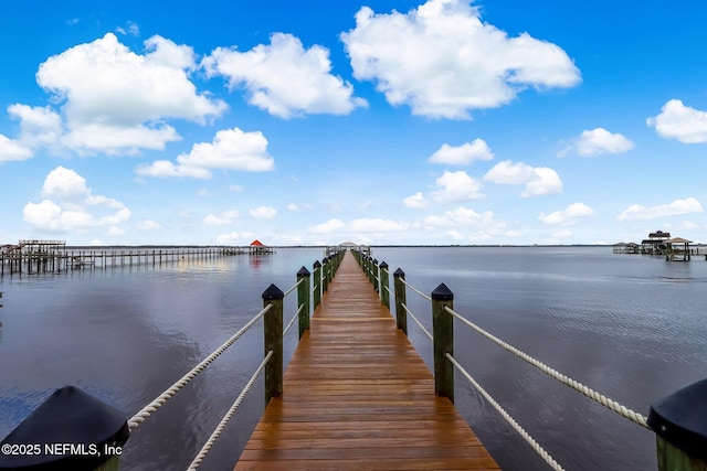 dock area with a water view