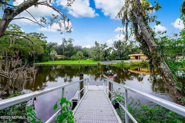 dock area with a water view