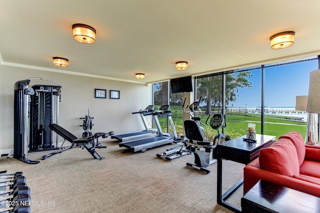 exercise room with crown molding and carpet flooring