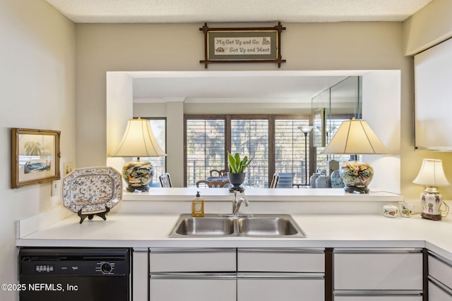 kitchen with dishwasher and sink