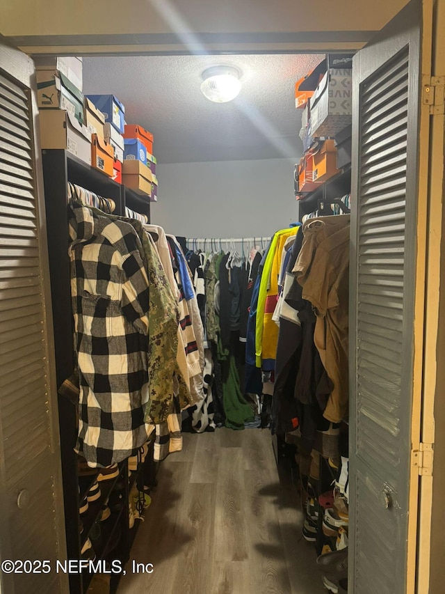 spacious closet featuring hardwood / wood-style flooring