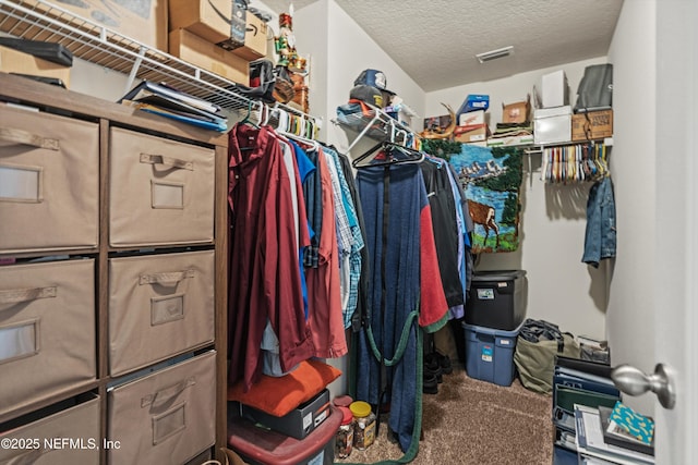 spacious closet featuring carpet