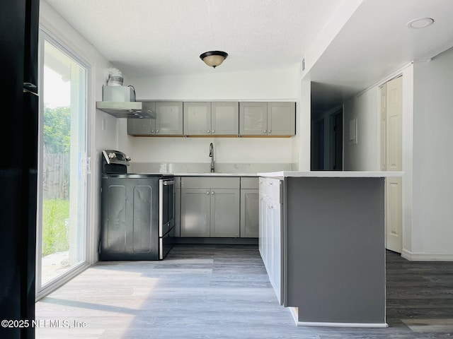 kitchen with stainless steel range with electric stovetop, wood-type flooring, gray cabinets, and sink