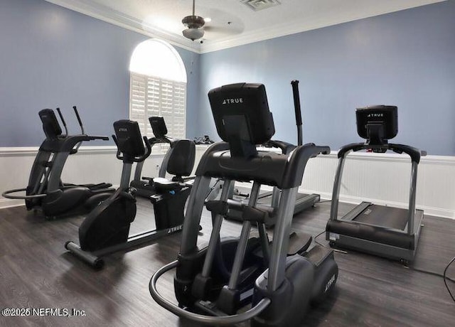 gym featuring crown molding and dark hardwood / wood-style flooring