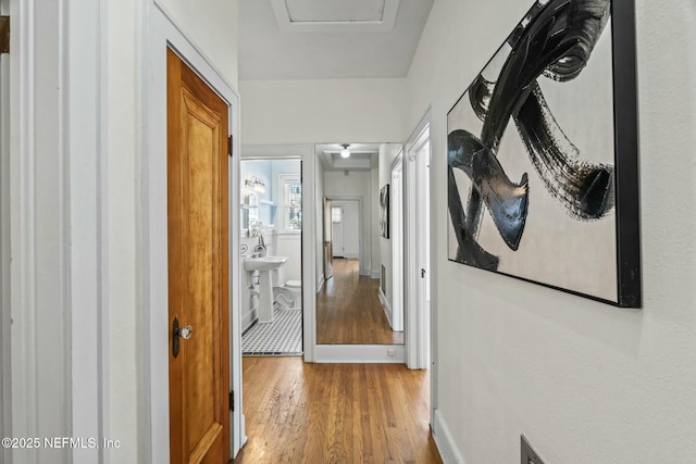 hallway with light hardwood / wood-style flooring