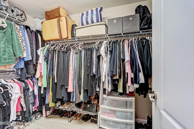 spacious closet with wood finished floors