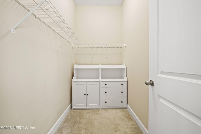 spacious closet featuring light colored carpet