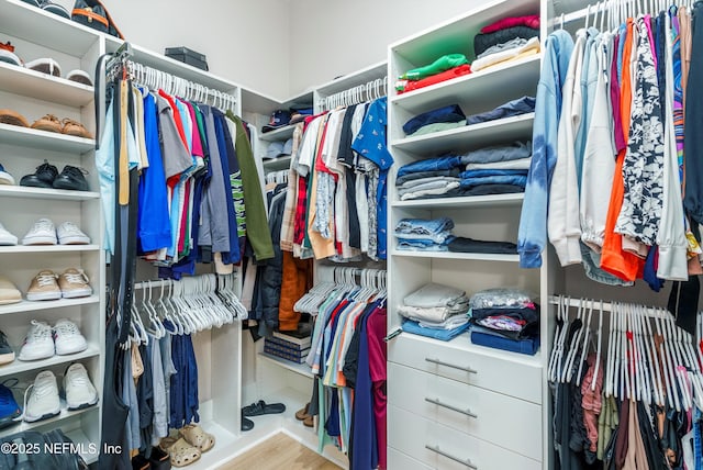 walk in closet featuring light wood-type flooring