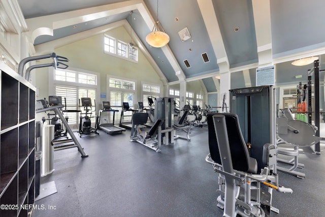 exercise room featuring high vaulted ceiling