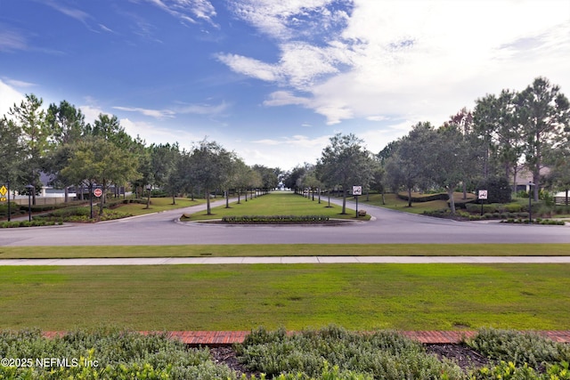 view of home's community featuring a yard