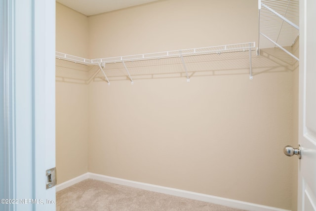 spacious closet with carpet flooring