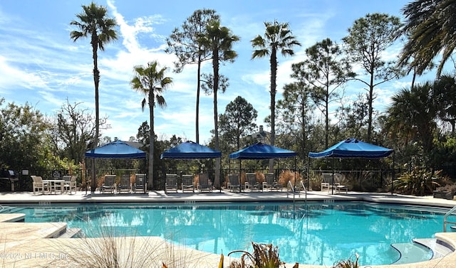 view of swimming pool