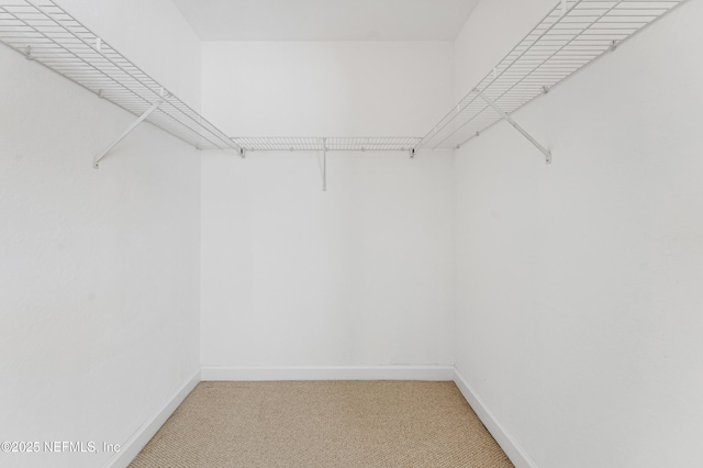 spacious closet featuring light carpet