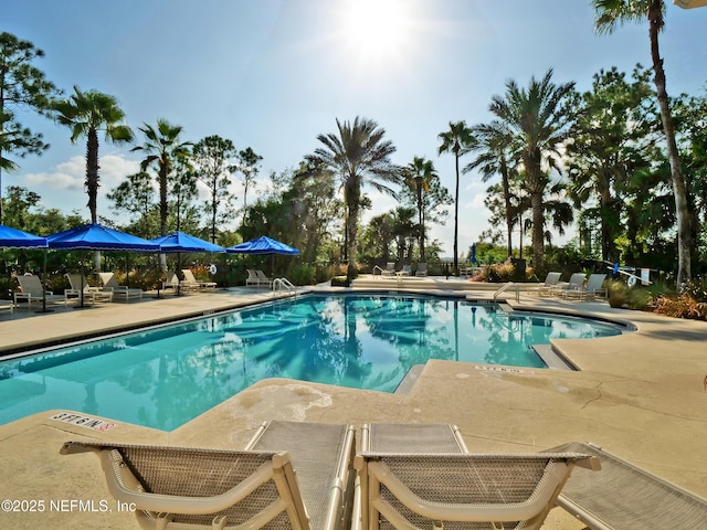 pool featuring a patio area