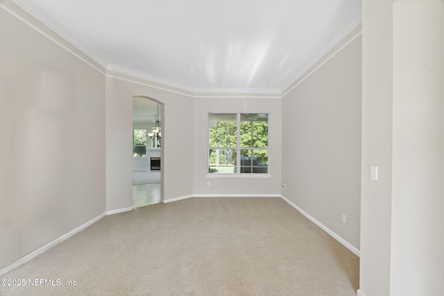 770 Westminster Dr, Orange Park, FL 32073 - photo 6