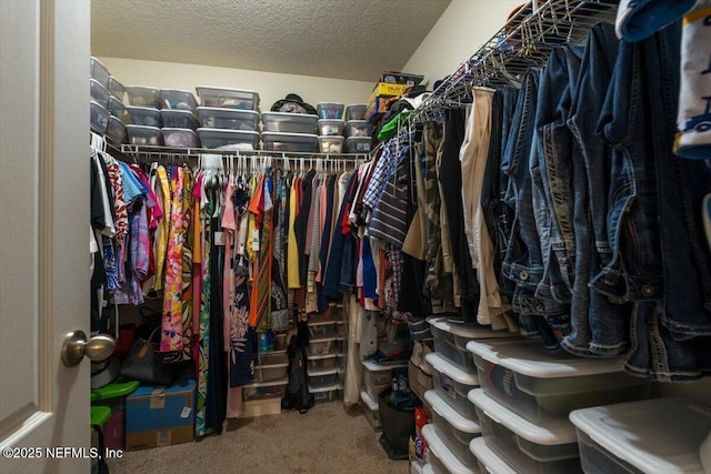 walk in closet with carpet flooring