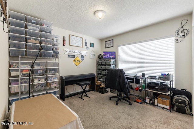 office area with carpet and a textured ceiling