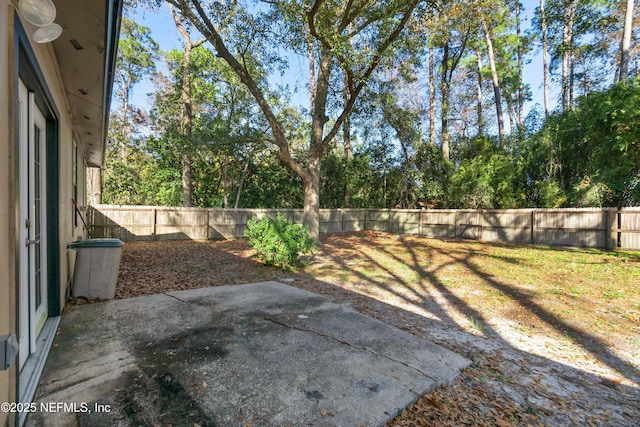 view of yard with a patio