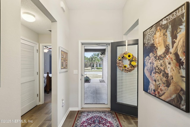 foyer entrance with hardwood / wood-style floors