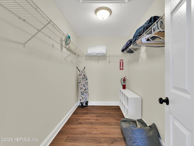 spacious closet featuring dark hardwood / wood-style floors