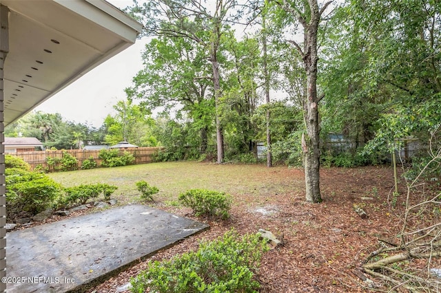 view of yard featuring a patio