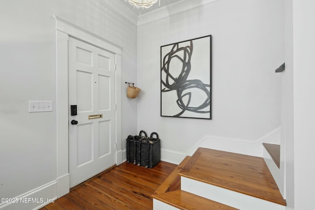 entrance foyer with wood-type flooring