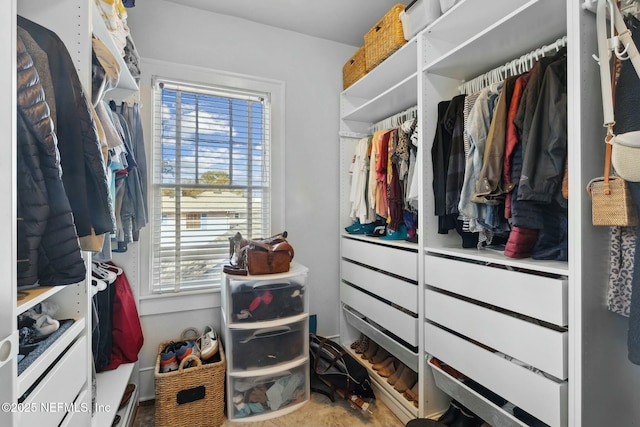 view of walk in closet