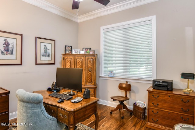 office featuring hardwood / wood-style flooring, ceiling fan, and ornamental molding