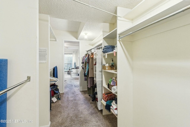 6175 Lake Tahoe Dr, Jacksonville, FL 32256 - photo 20
