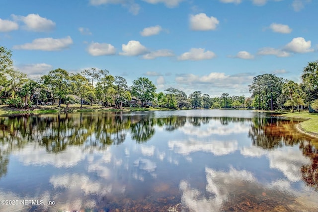 6175 Lake Tahoe Dr, Jacksonville, FL 32256 - photo 31