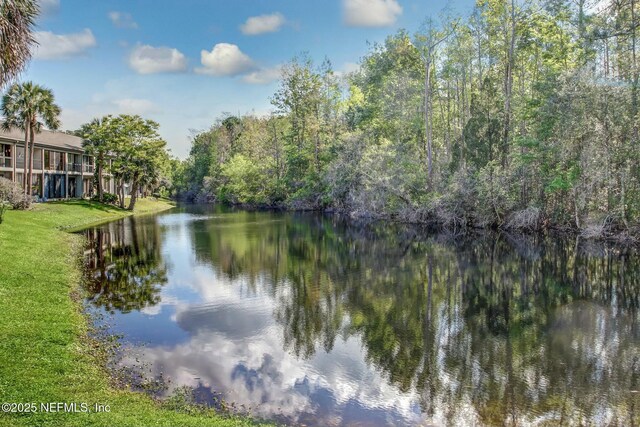 6175 Lake Tahoe Dr, Jacksonville, FL 32256 - photo 36