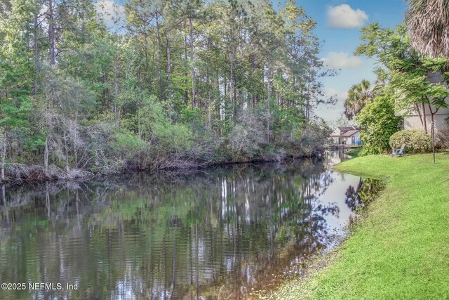 6175 Lake Tahoe Dr, Jacksonville, FL 32256 - photo 37