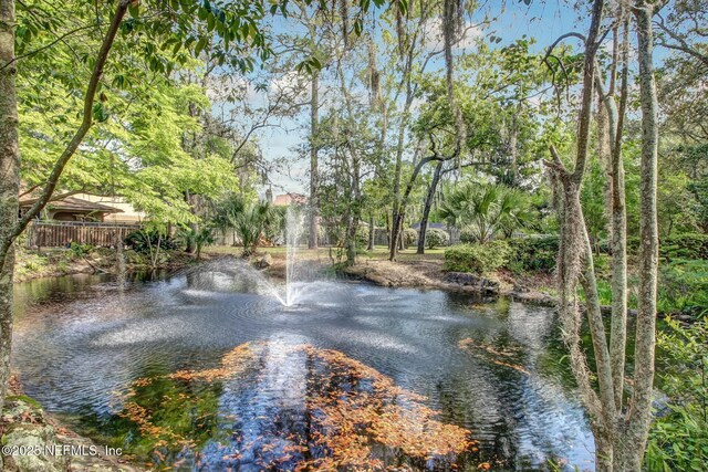 6175 Lake Tahoe Dr, Jacksonville, FL 32256 - photo 35