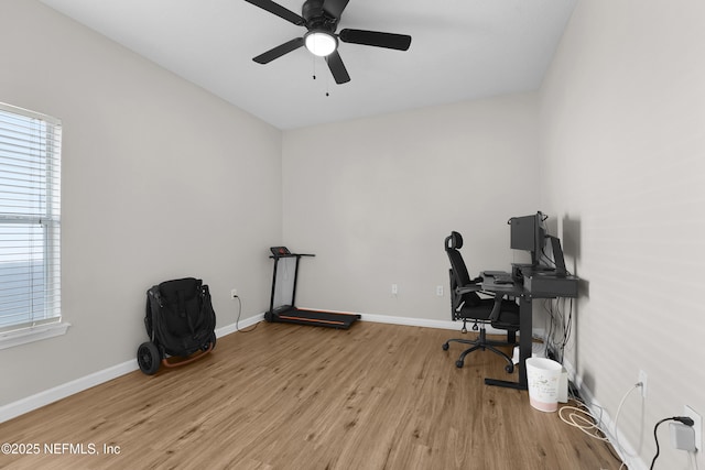 office space with ceiling fan and light wood-type flooring