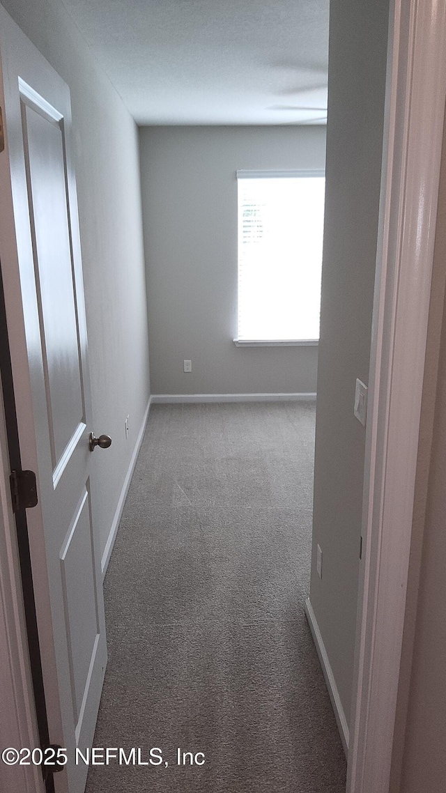 unfurnished room with carpet