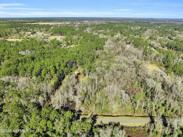 11453 Cisco Gardens Rd, Jacksonville, FL 32219 - photo 4