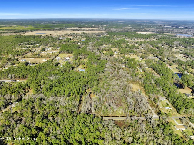 11453 Cisco Gardens Rd, Jacksonville, FL 32219 - photo 9