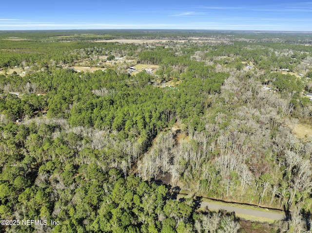 11453 Cisco Gardens Rd, Jacksonville, FL 32219 - photo 10