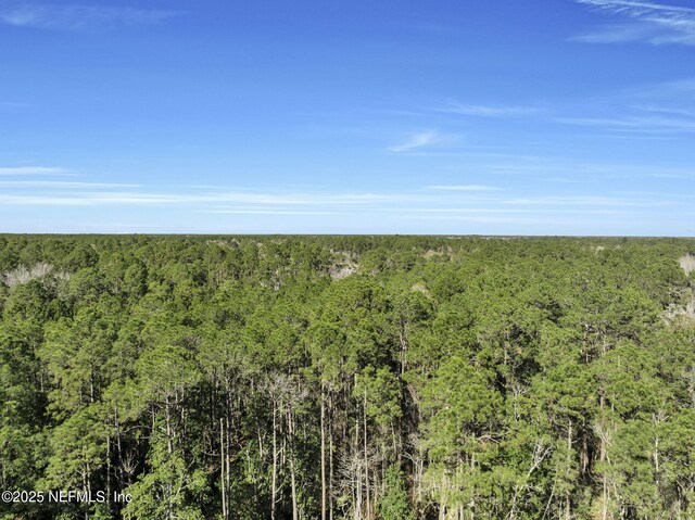 11453 Cisco Gardens Rd, Jacksonville, FL 32219 - photo 13