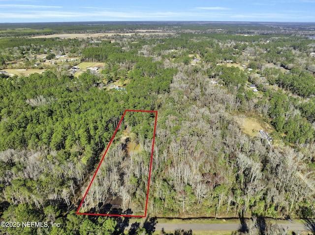 11453 Cisco Gardens Rd, Jacksonville, FL 32219 - photo 14