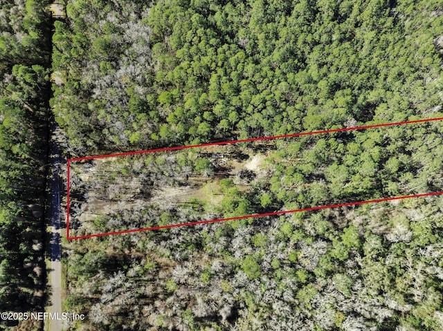 11453 Cisco Gardens Rd, Jacksonville, FL 32219 - photo 19