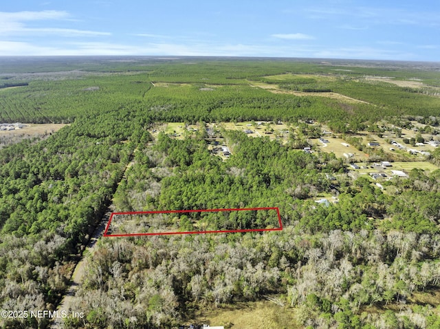 11453 Cisco Gardens Rd, Jacksonville, FL 32219 - photo 20