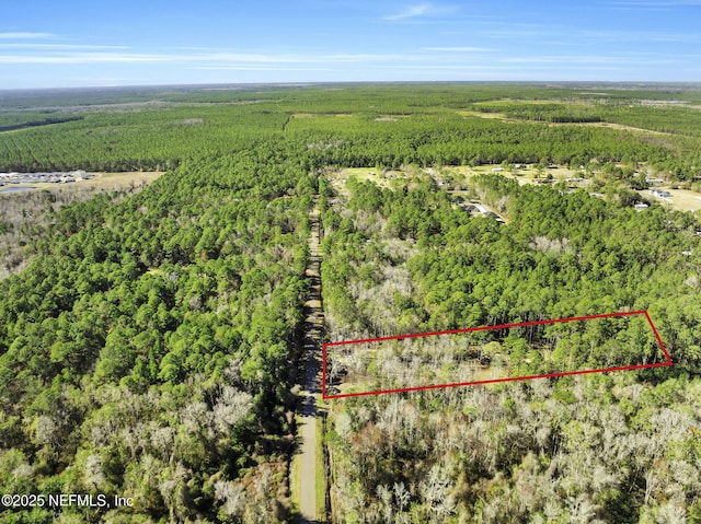 11453 Cisco Gardens Rd, Jacksonville, FL 32219 - photo 21