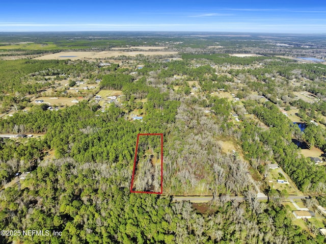 11453 Cisco Gardens Rd, Jacksonville, FL 32219 - photo 24