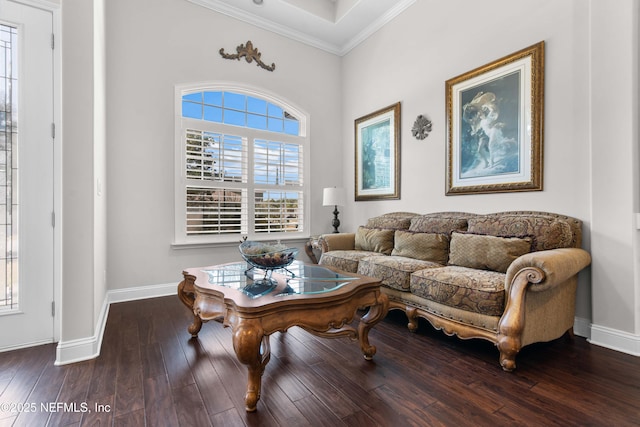 living area featuring ornamental molding and hardwood / wood-style floors