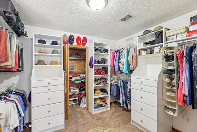 walk in closet with light colored carpet