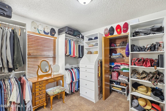 spacious closet featuring light carpet