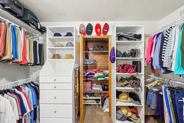 walk in closet featuring carpet floors